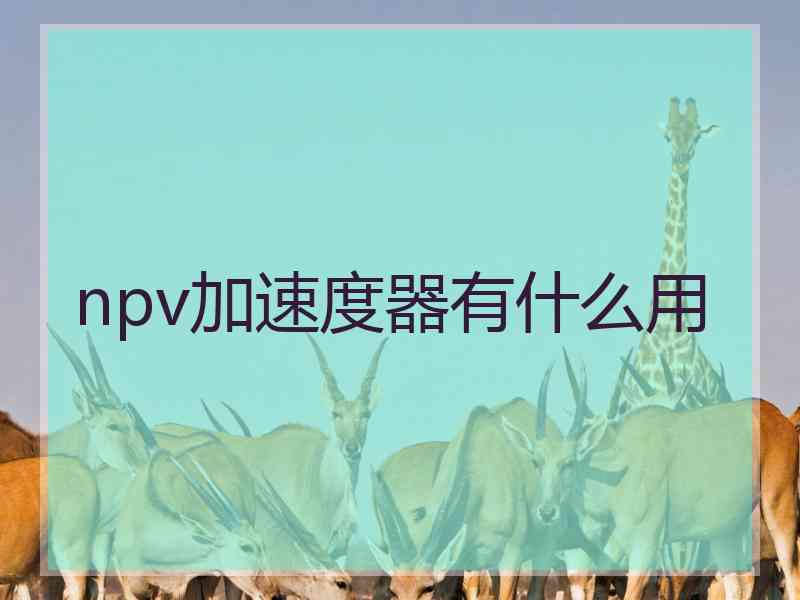 npv加速度器有什么用