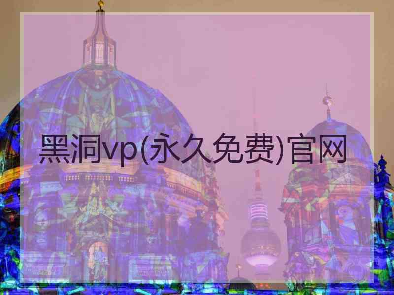 黑洞vp(永久免费)官网