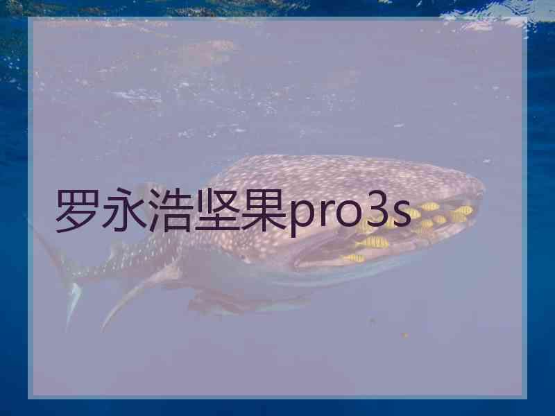 罗永浩坚果pro3s