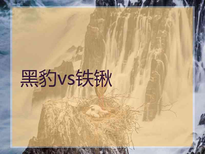 黑豹vs铁锹