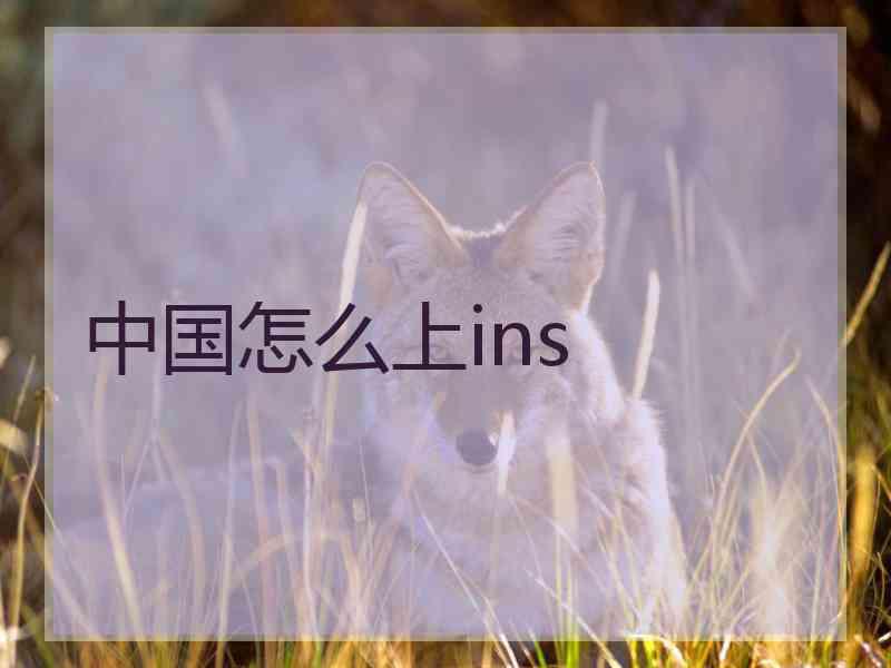 中国怎么上ins