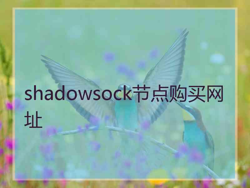 shadowsock节点购买网址