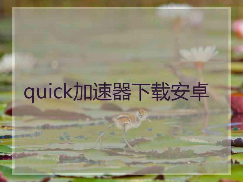 quick加速器下载安卓