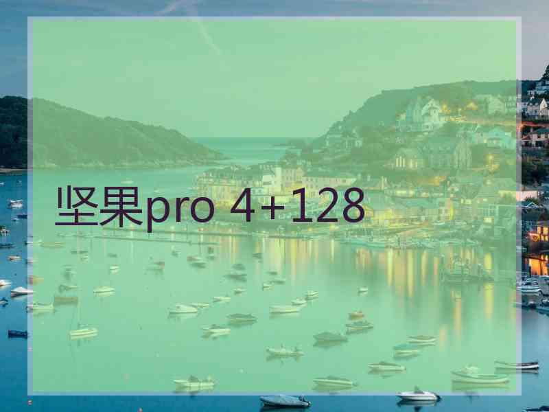 坚果pro 4+128