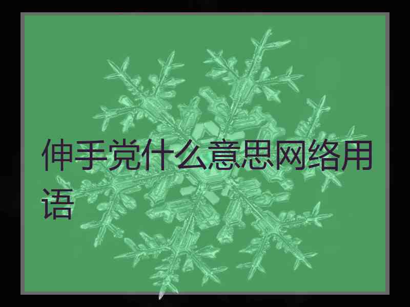 伸手党什么意思网络用语