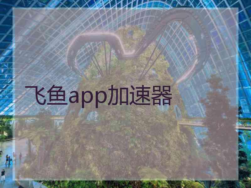 飞鱼app加速器