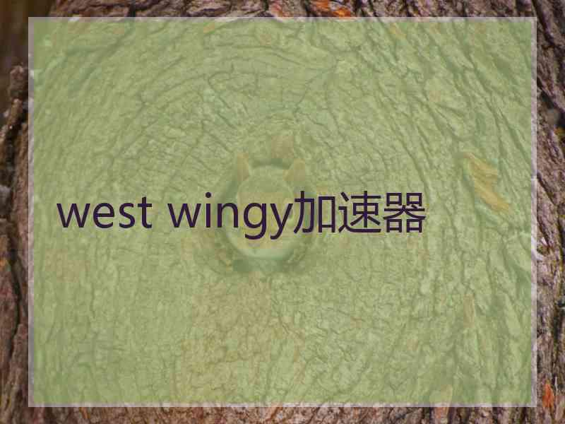 west wingy加速器