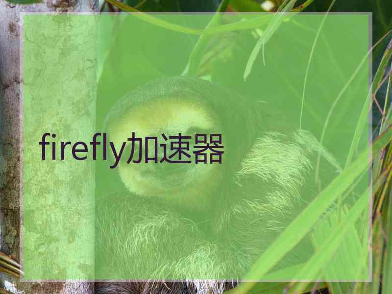 firefly加速器