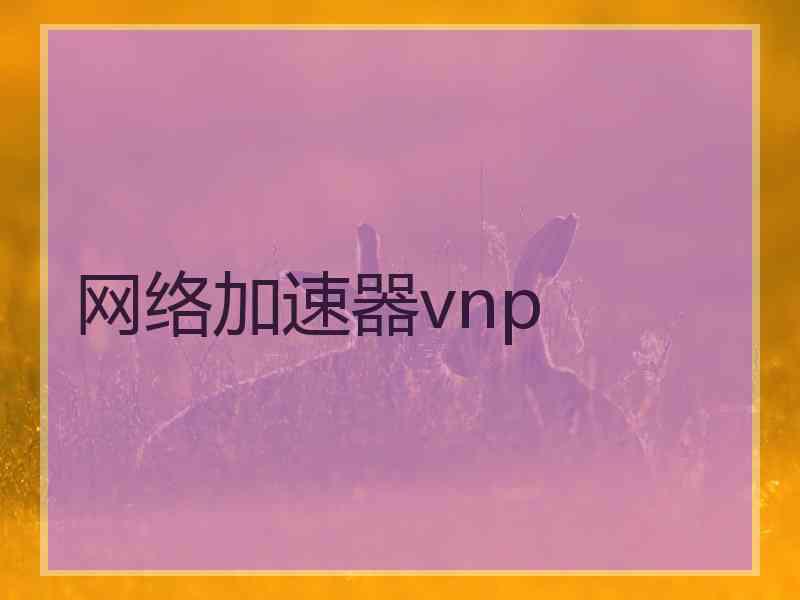 网络加速器vnp