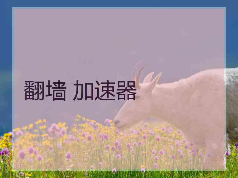 翻墙 加速器