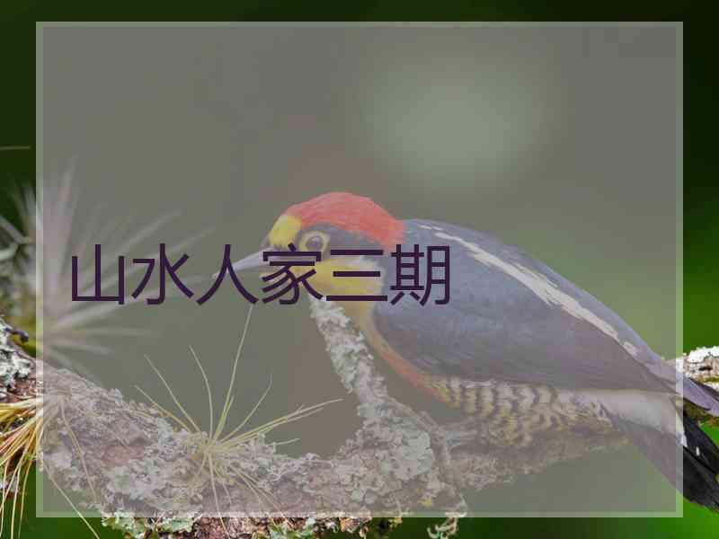 山水人家三期