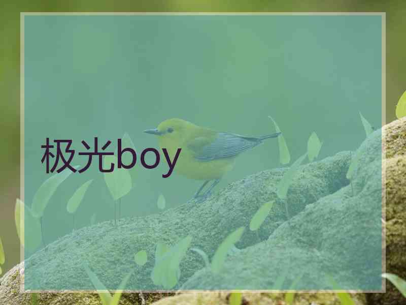 极光boy