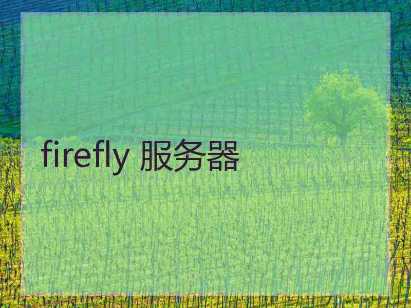 firefly 服务器
