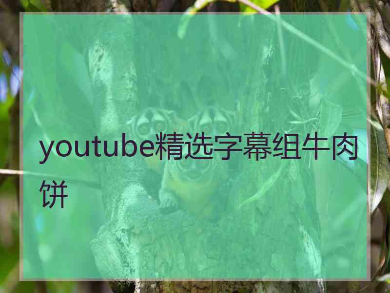 youtube精选字幕组牛肉饼