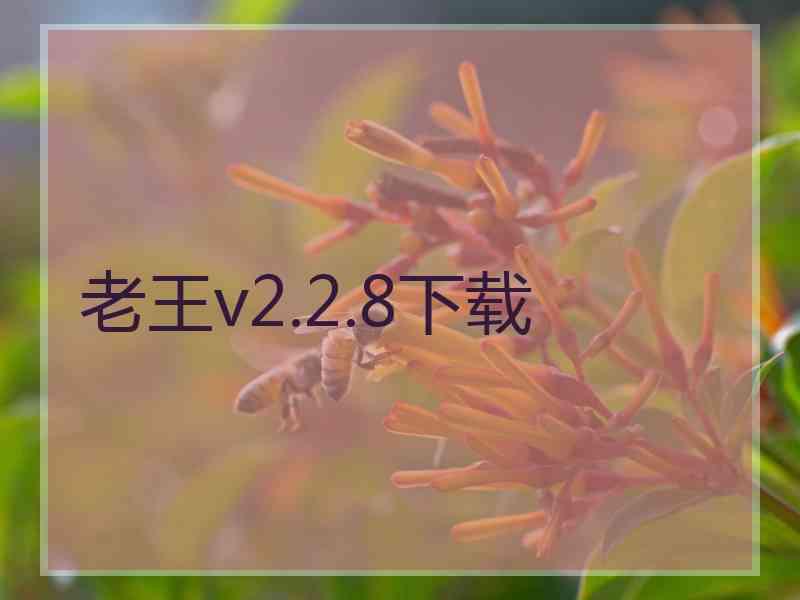 老王v2.2.8下载