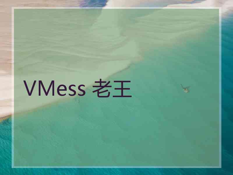 VMess 老王