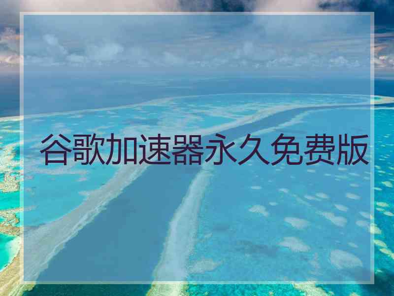 谷歌加速器永久免费版