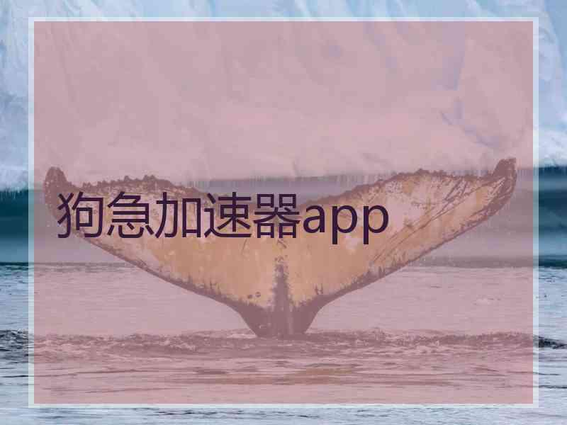 狗急加速器app