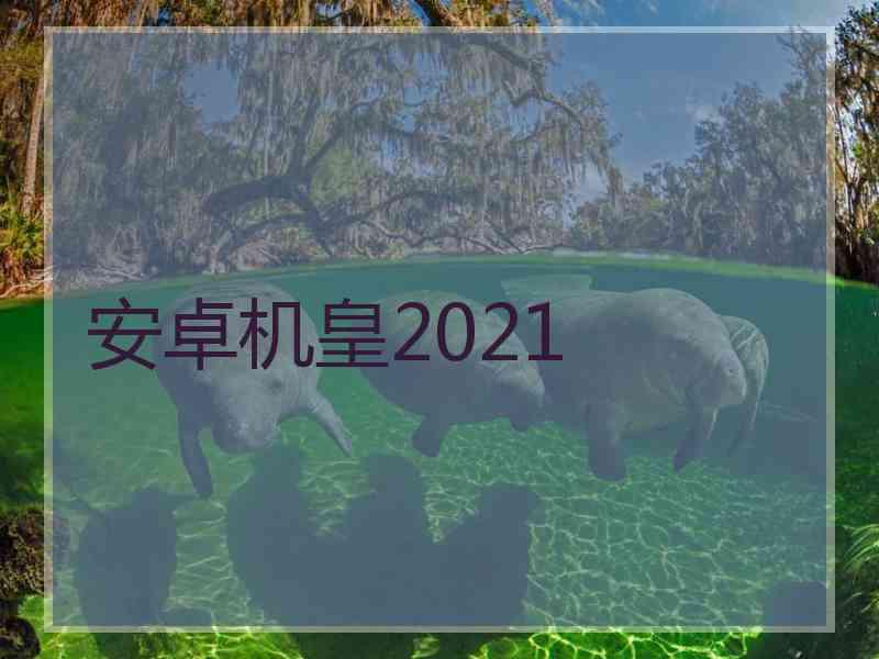 安卓机皇2021