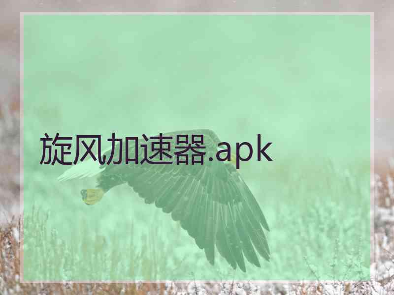 旋风加速器.apk