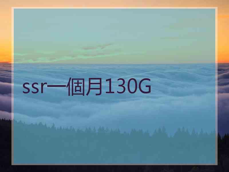 ssr一個月130G