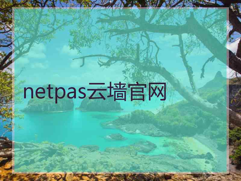 netpas云墙官网