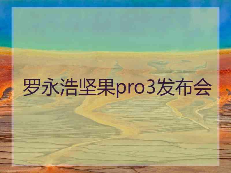 罗永浩坚果pro3发布会