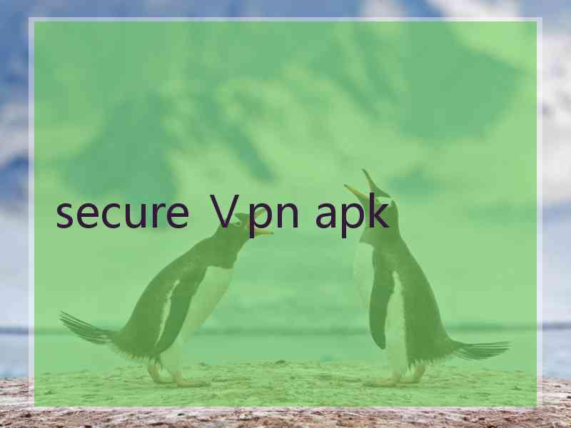 secure Ⅴpn apk