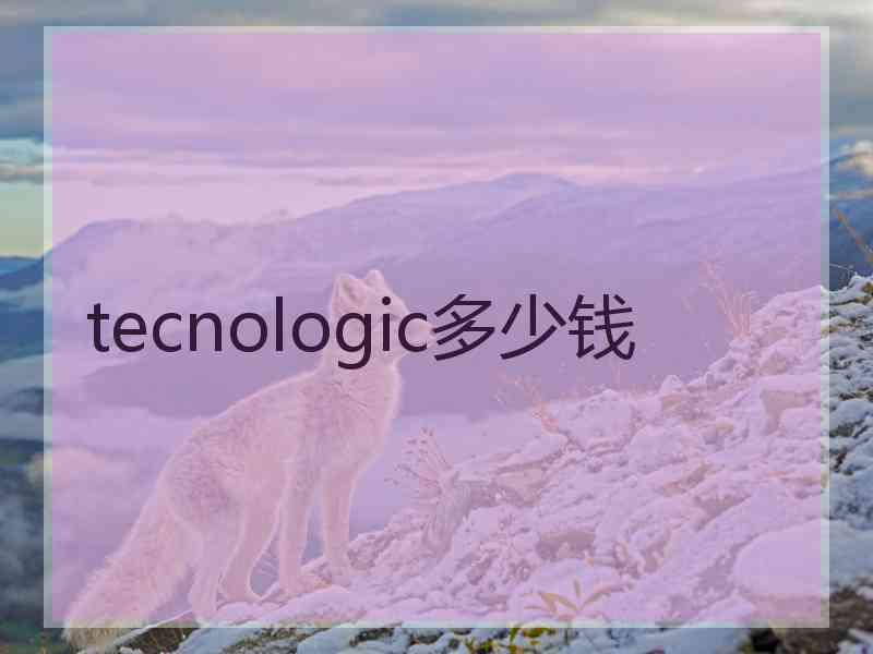 tecnologic多少钱