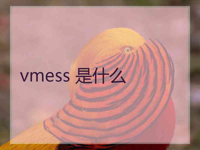 vmess 是什么