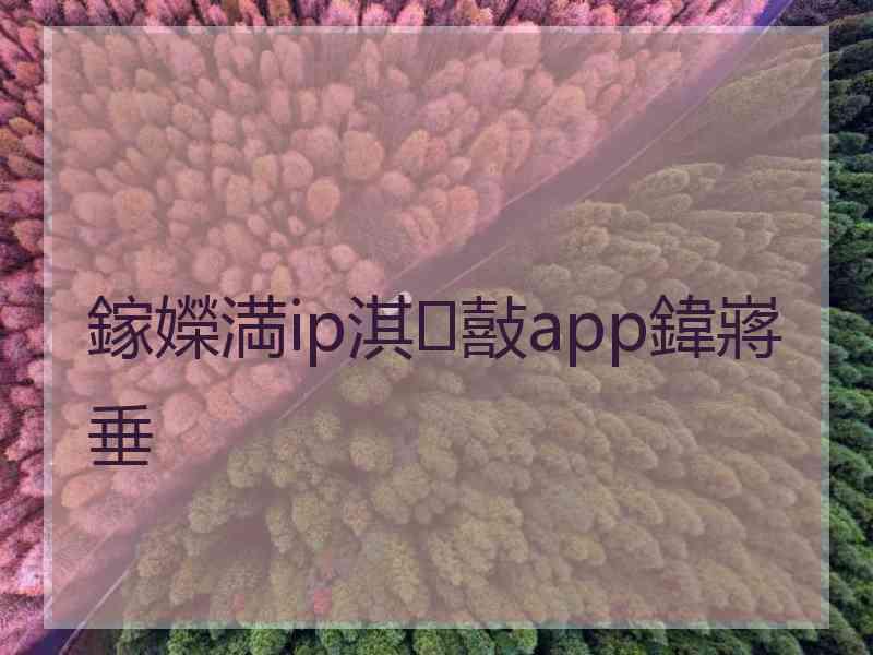 鎵嬫満ip淇敼app鍏嶈垂