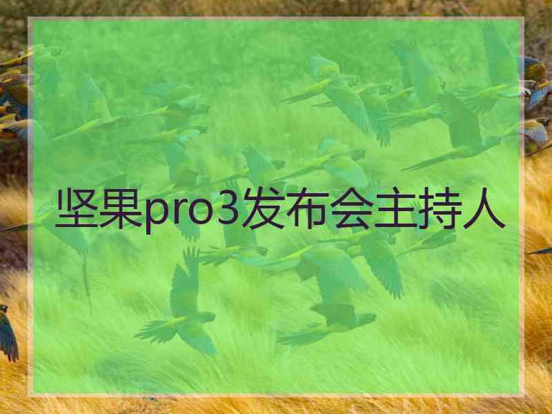 坚果pro3发布会主持人