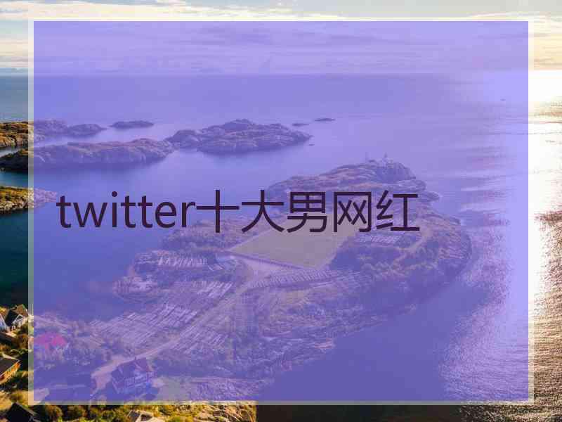 twitter十大男网红