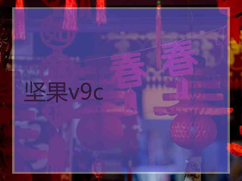 坚果v9c