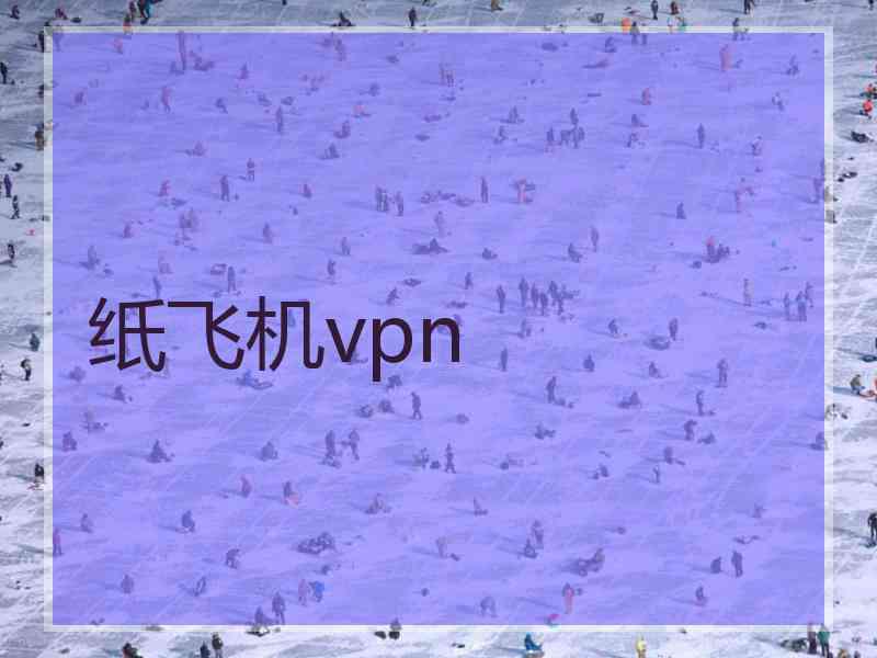 纸飞机vpn