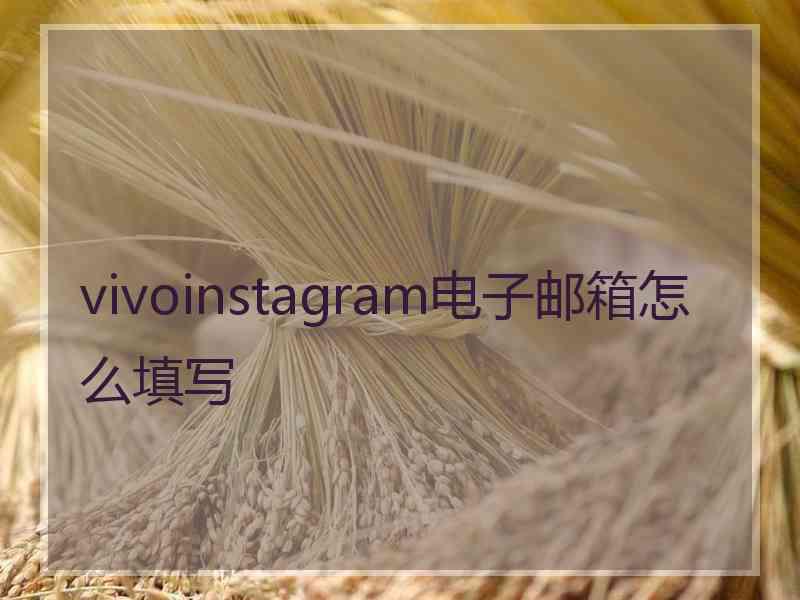 vivoinstagram电子邮箱怎么填写