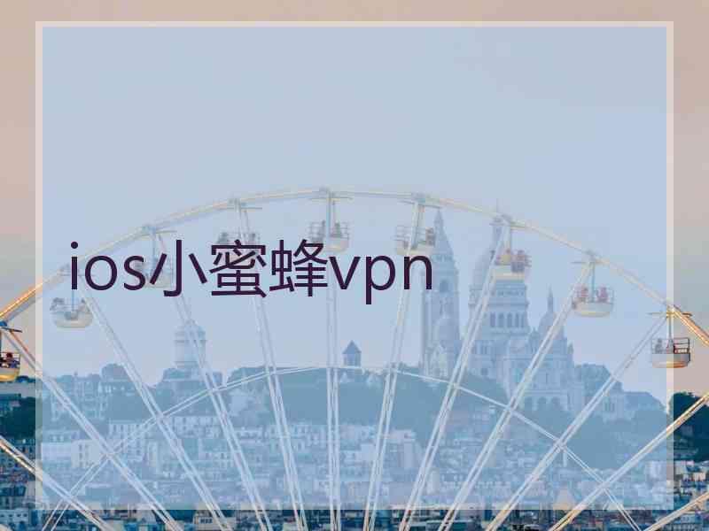 ios小蜜蜂vpn