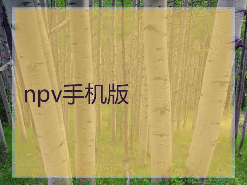 npv手机版