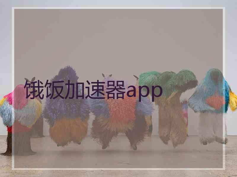 饿饭加速器app