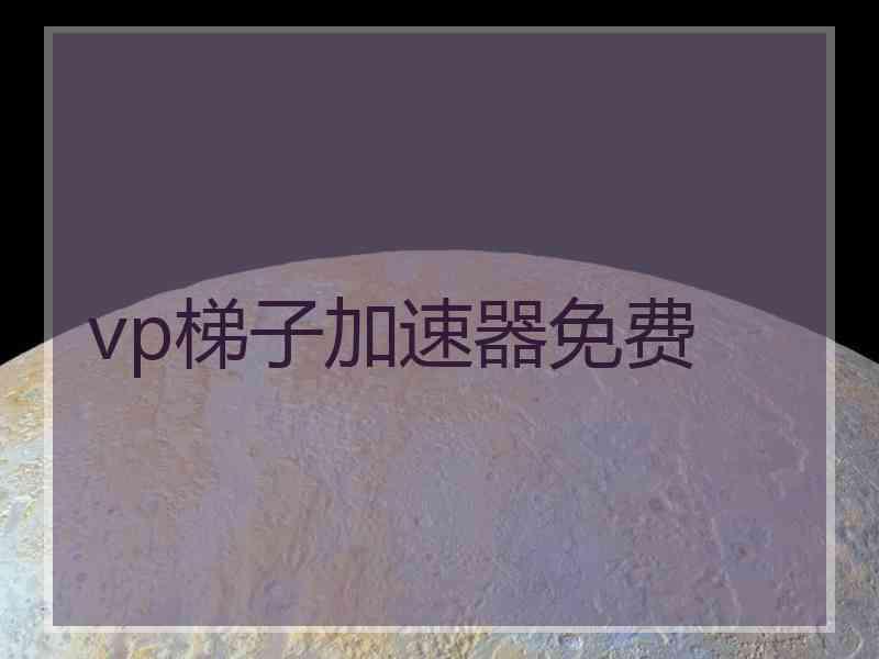 vp梯子加速器免费