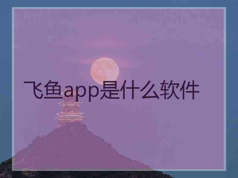 飞鱼app是什么软件