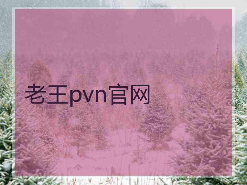 老王pvn官网