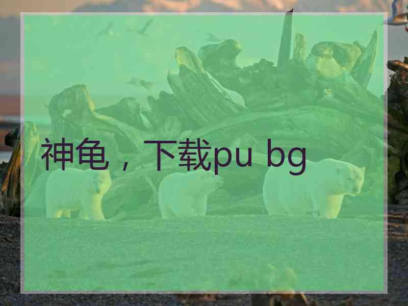 神龟，下载pu bg