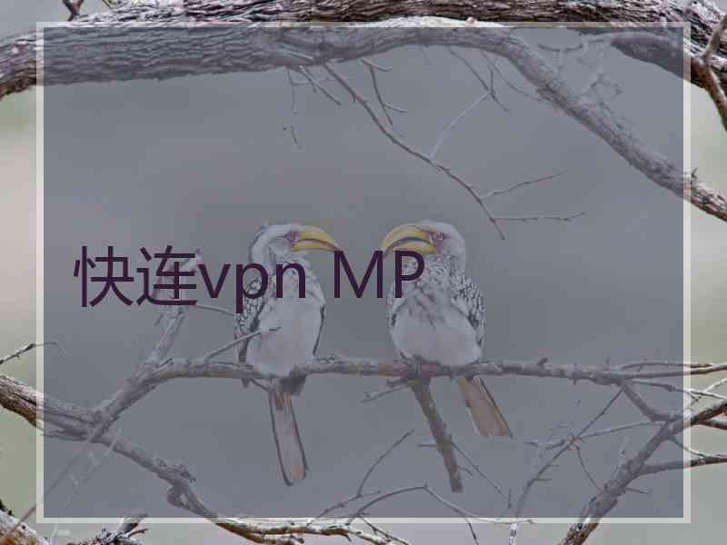 快连vpn MP