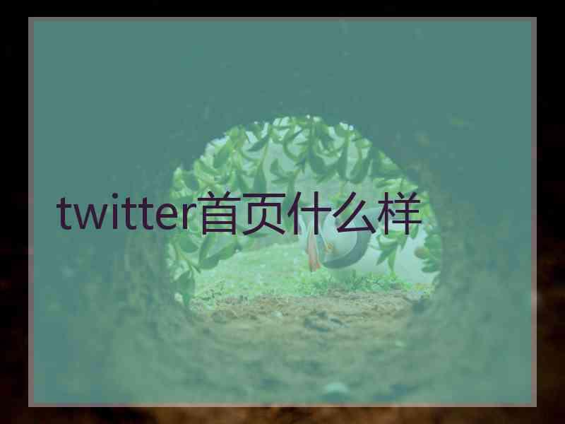 twitter首页什么样