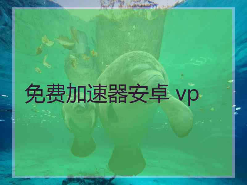 免费加速器安卓 vp