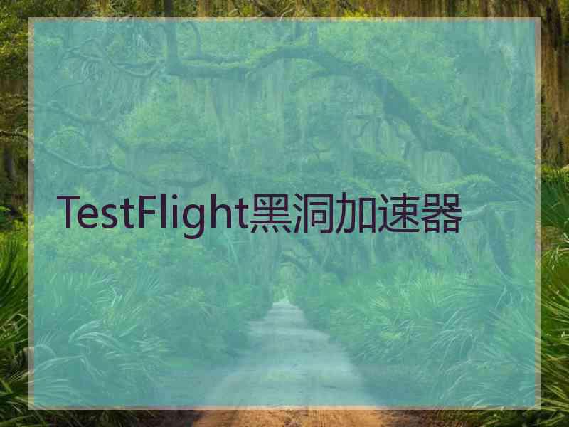 TestFlight黑洞加速器