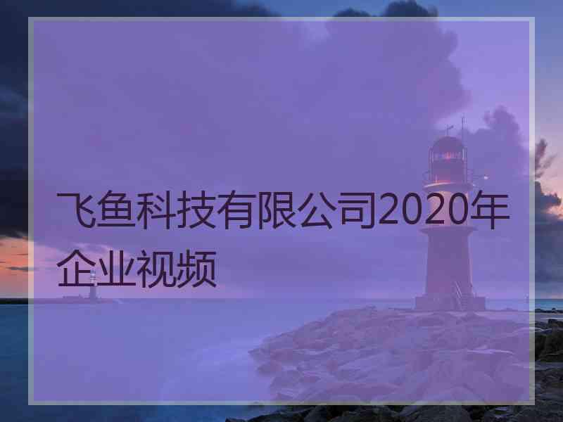 飞鱼科技有限公司2020年企业视频