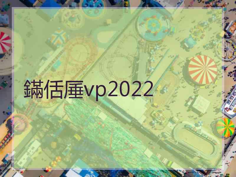 鏋佸厜vp2022