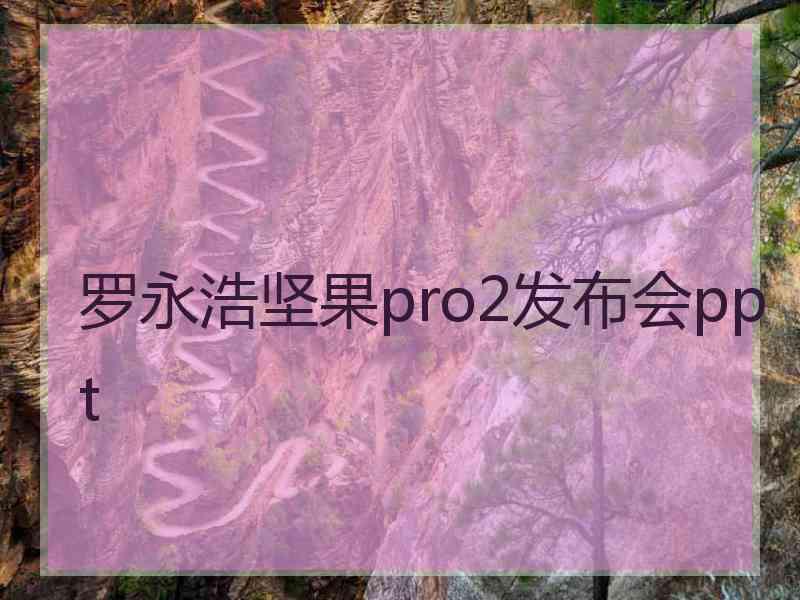 罗永浩坚果pro2发布会ppt